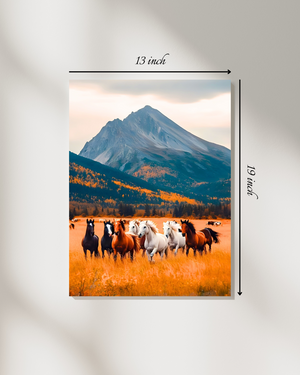 Wild Horses Canvas Print – Beautiful Nature Canvas Print