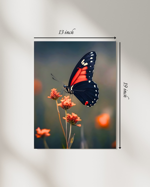 Captivating Butterfly Canvas Print – Beautiful Nature Canvas Print
